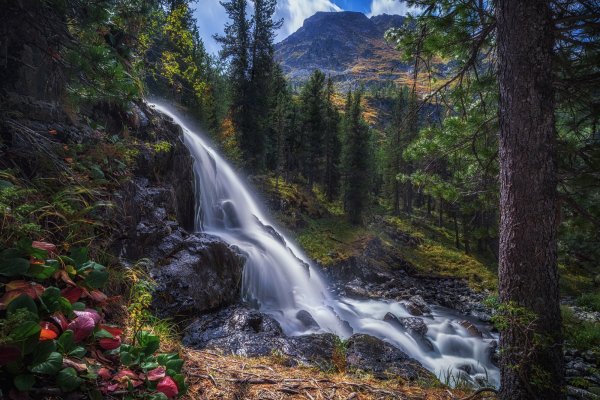 aliona-ruban-katunskii-biosfernyi-zapovednik-altai-rossiia-v