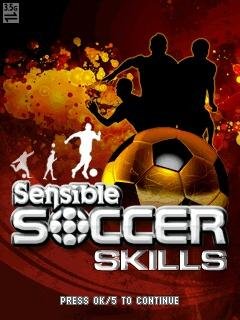 Sensible Soccer Skills