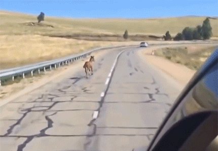 )
