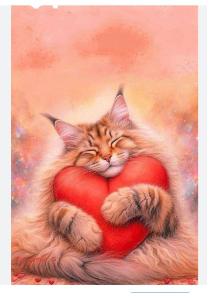 Котик1