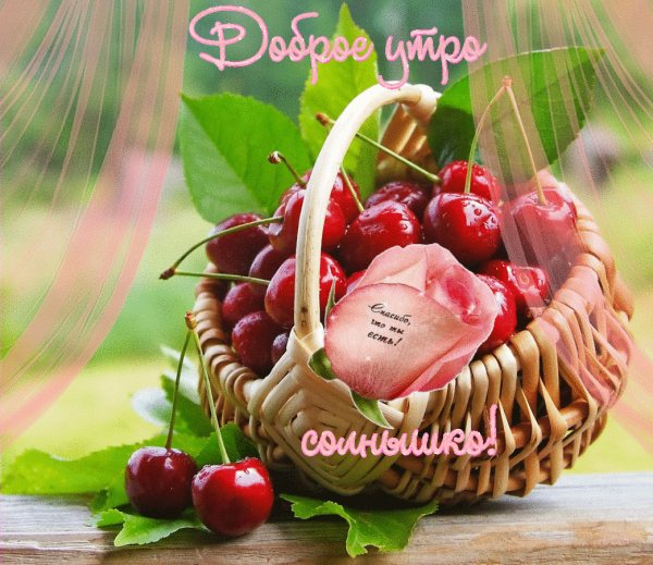 Доброе утро,солнышко!