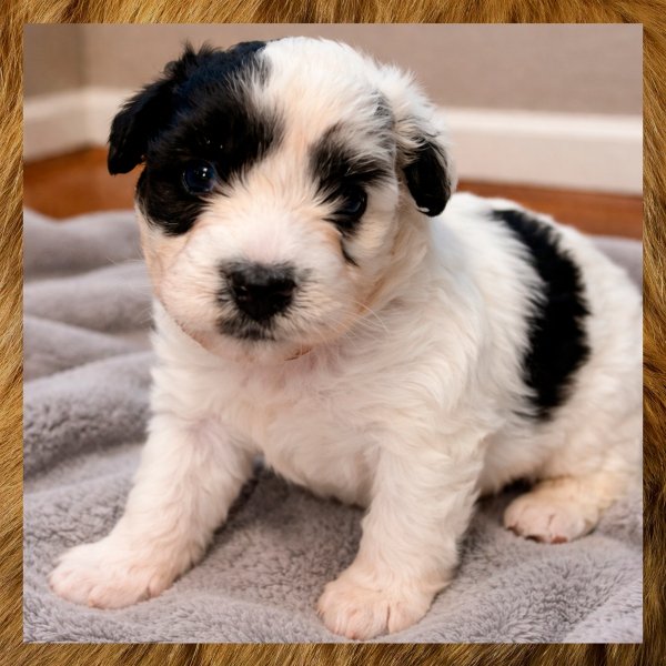 XWSDRGHJGFVBFVBVLA00