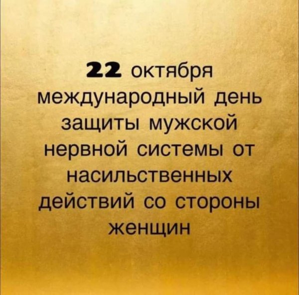 IMG 1729591837102