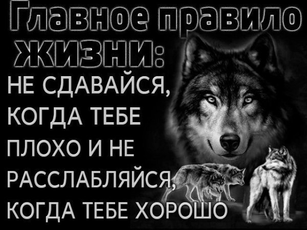 Правило жизни