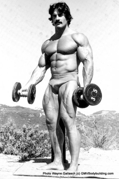 2-Mike-Mentzer-Muscle-Rocks-BW