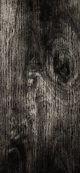 adapted 1080x2340 1704267671