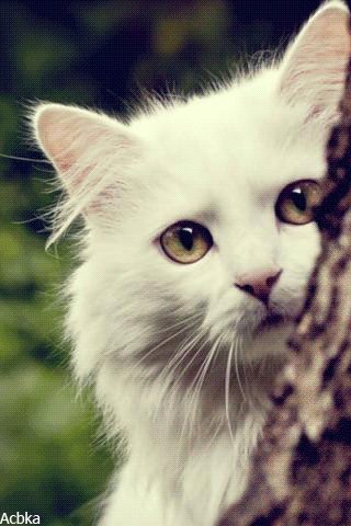file_78679158