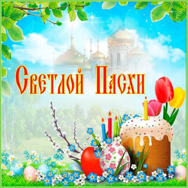 file_84186727