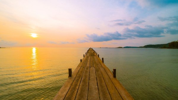 file_99650203