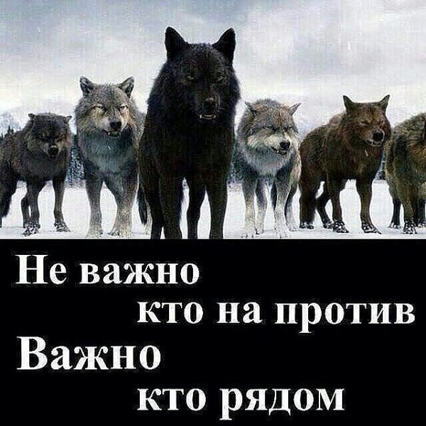 IMG 20150330 074016 9