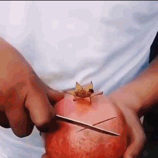 гранат