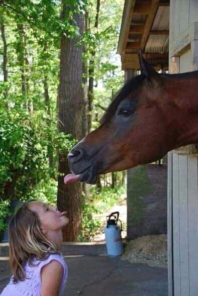 FB IMG 16310570230780115