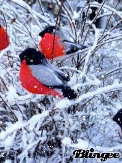 file_60800377