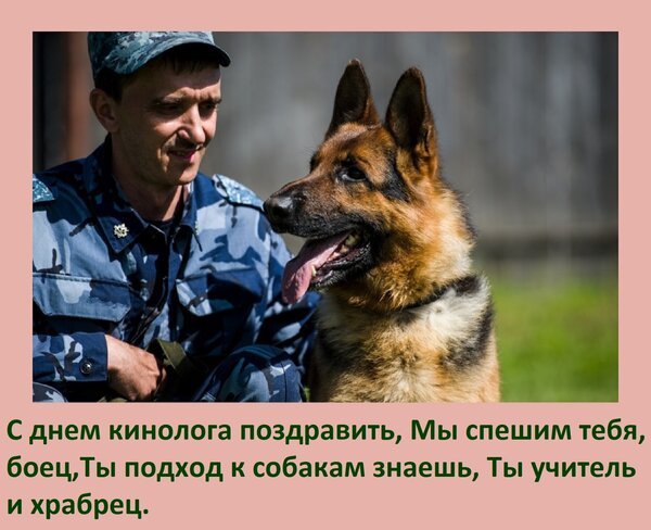 Открытка с днем кинолога поздравить
