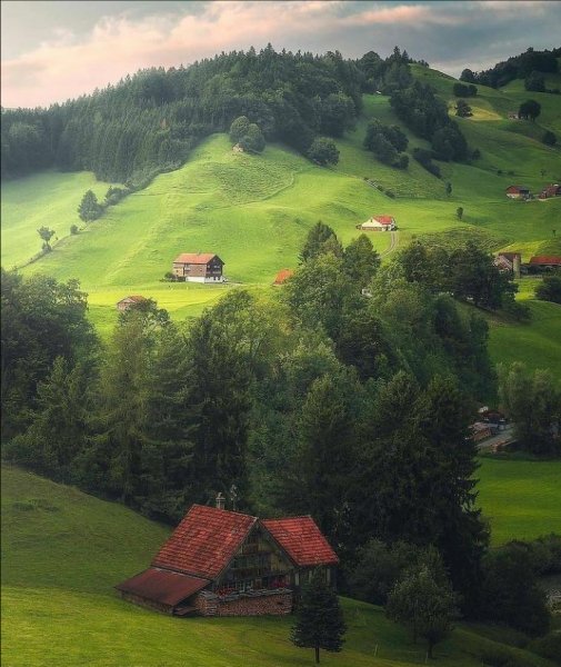 Screenshot 2021-05-17-07-23-41