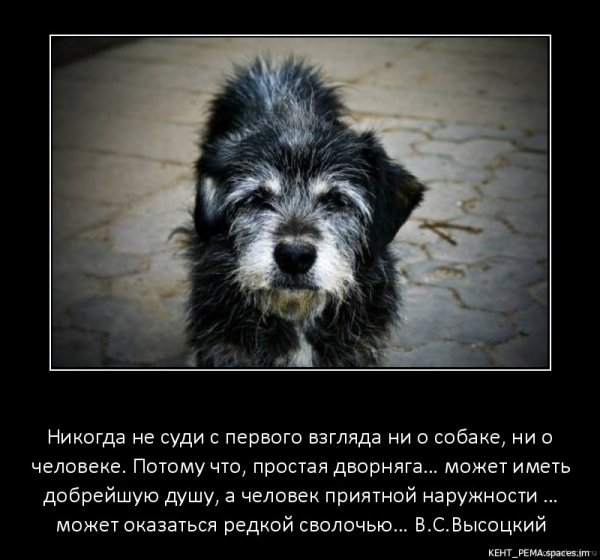 V. S. Vysockij-