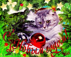 с Новым подом