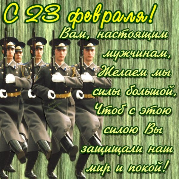 C 23 (8)