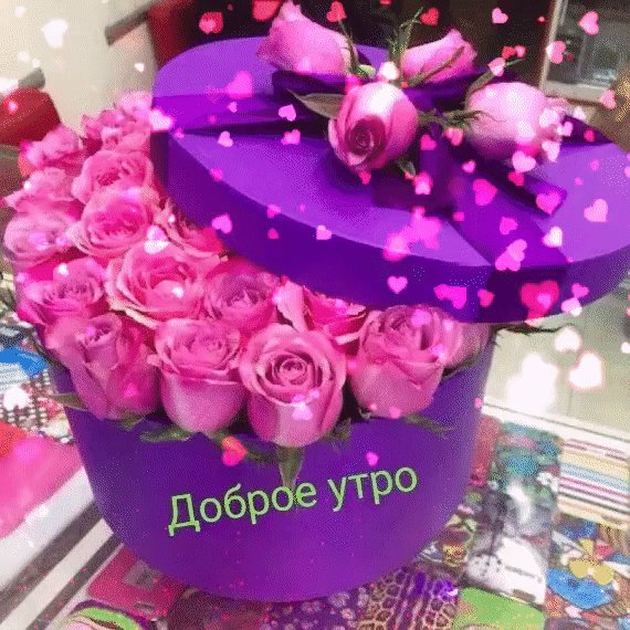 gif 1602564933