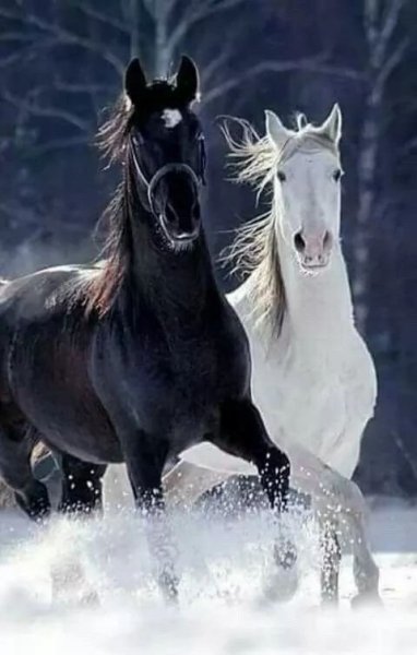 Eaabb00e957affec2b0b138e33192b77