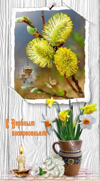 С Вербным Воскресеньем!..