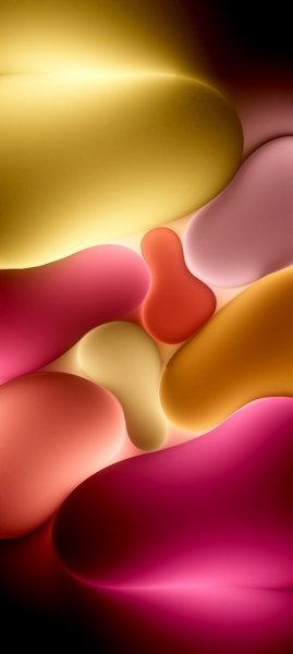 adapted 1080x2408 1775228310