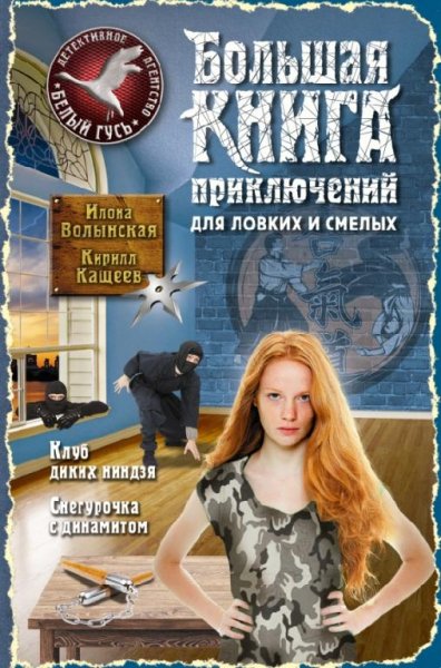Кирилл Кащеев - Большая книга приключений для