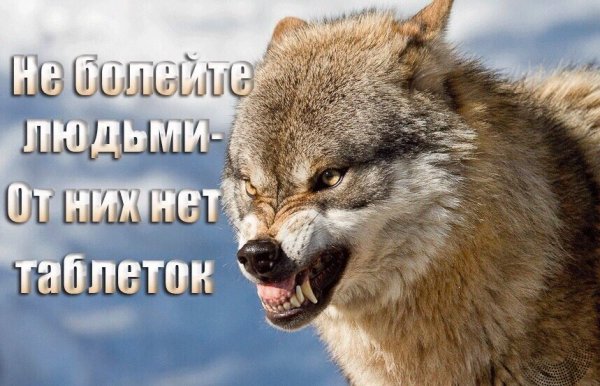 IMG 20190810 152506