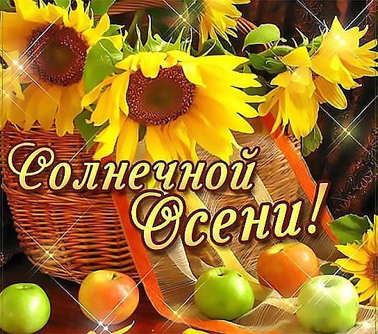 kmQPLu5CVSk
