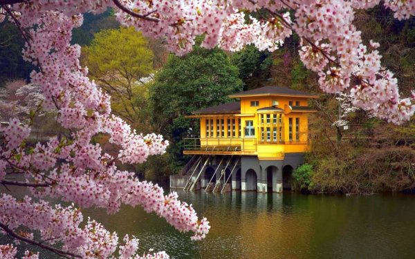 x1080 Весенние виды 2018.03.09