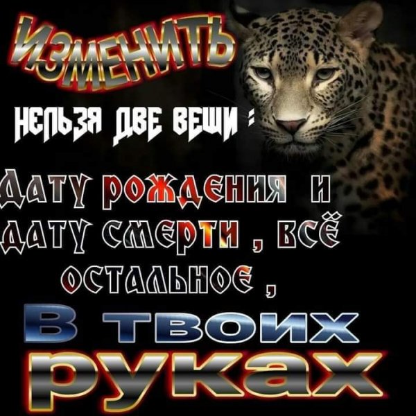 FB IMG 1626940898819