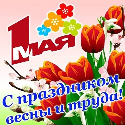 IMG-20260501-WA0019