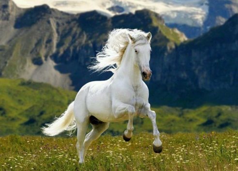 getImage (6)
