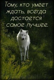 Кто умеет ждать