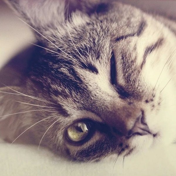 J6a5QFzb1PvdRuZ2sY0UQoEen6ho9lSZjfoDHGiZJZtgw26zLsNDRM2SxfSu