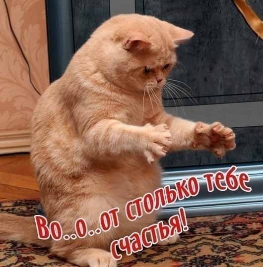 пожелание