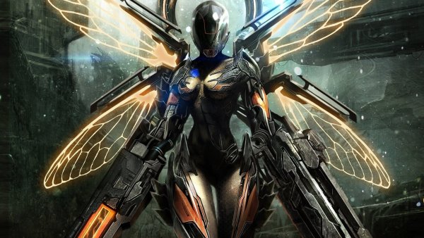 Expansion on Wargarden