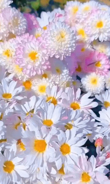 file_99092230