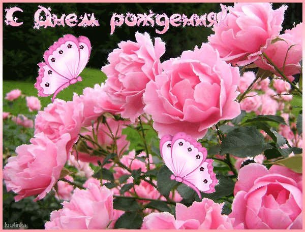 SDnemrozhd6