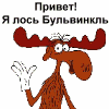 Слон замочил лося