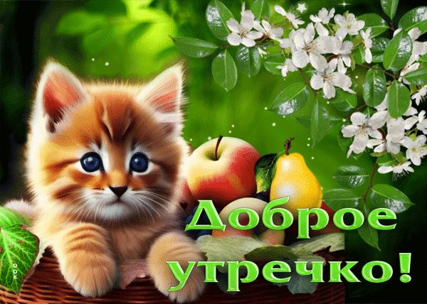 Анимированная открытка доброе утречко (1) (1)