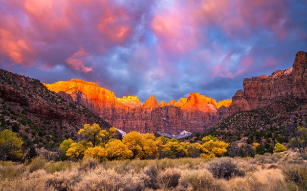 Zion-national-park-autumn-colors