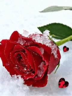 IMG 20170911 215618 7