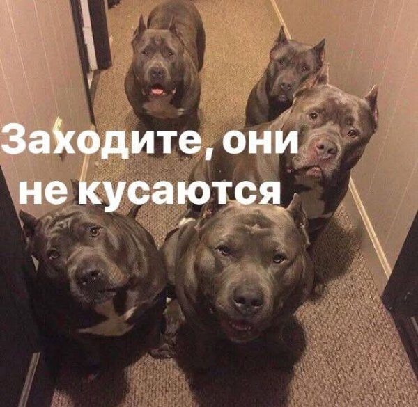 FB IMG 1776781246786