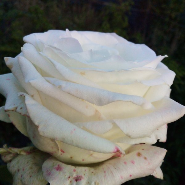 IMG 20230917 175927159-puskai.ru