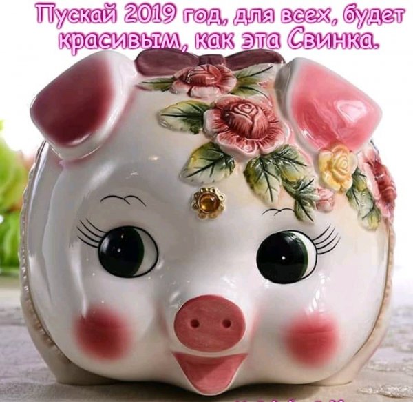 IMG 20181227 111603 12