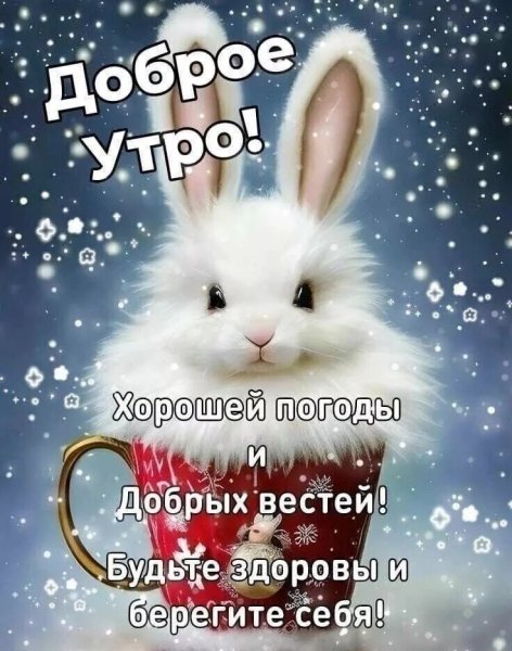 IMG 20240220 230722