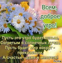 file_99046703