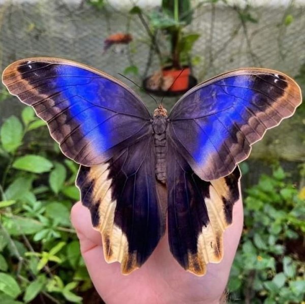 6b91f84f6810afdb297a2869fbc4129f