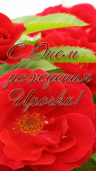 file_43678338